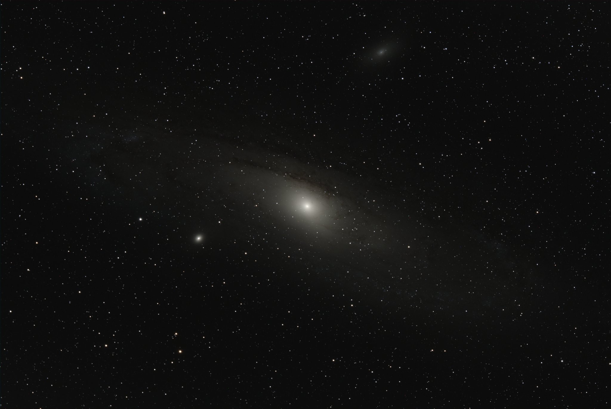 Andromeda whole