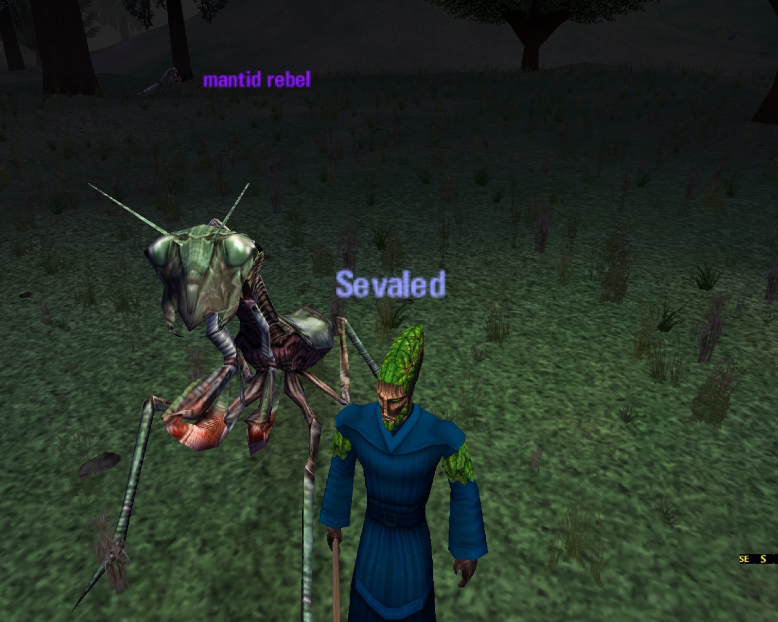 A bark-skinned figure with leafy hair stands beside a giant mantis in a night meadow.